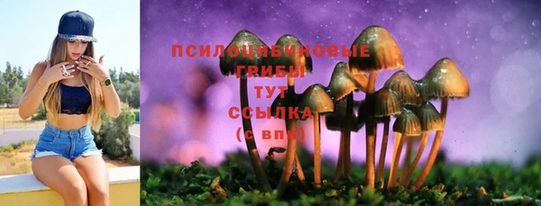 стафф Верхнеуральск