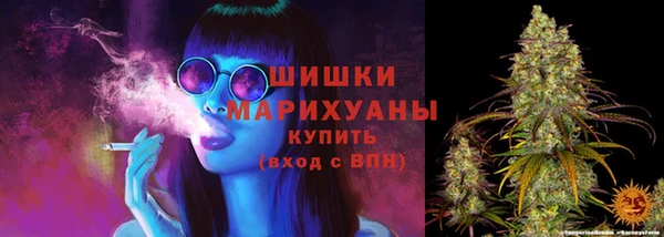 PSILOCYBIN Верея