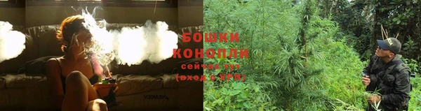 PSILOCYBIN Верея