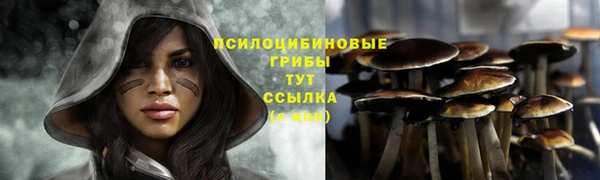 PSILOCYBIN Верея