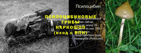 стафф Верхнеуральск